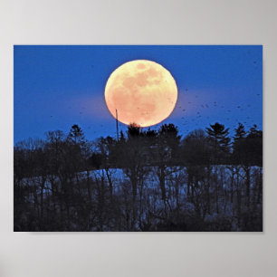 Snow Moon Rising Poster