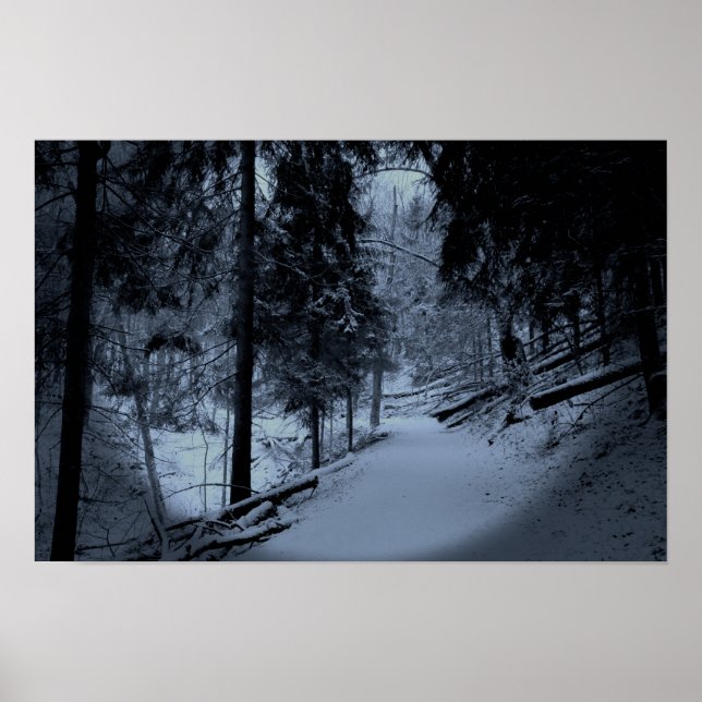 Snow on Hiking Trail 3 Poster (Vorne)