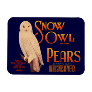 Snow Owl Birne der 30er Jahre - Fruchtkariezeichen Magnet