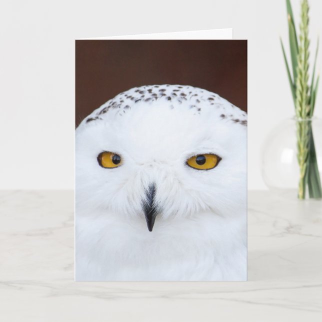 SNOW OWL BIRTHDAY CARD KARTE (Vorderseite)