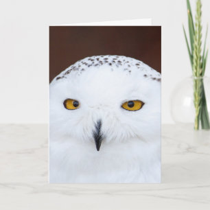 SNOW OWL BIRTHDAY CARD KARTE