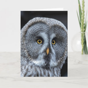 SNOW OWL Fotografie GEBURTSTAGS-Grußkarten Karte