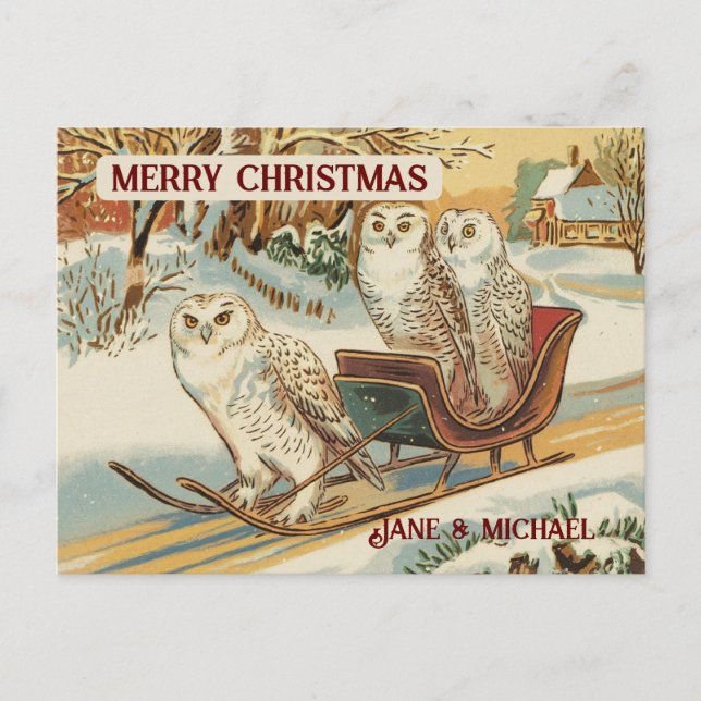 Snow Owl Frohe Weihnachtsnamen Postkarte (Vorderseite)