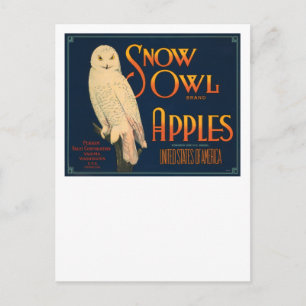 Snow Owl Marken Äpfel Postkarte