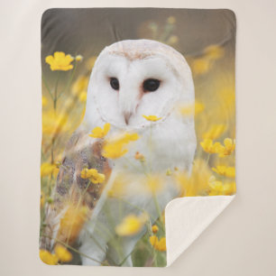 SNOW OWL SHERPADECKE