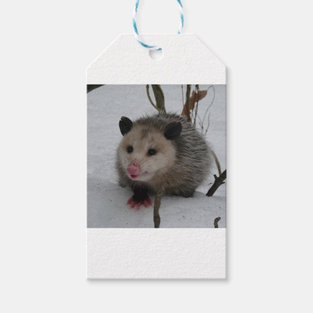 Snow Possum Geschenkanhänger (Vorderseite)