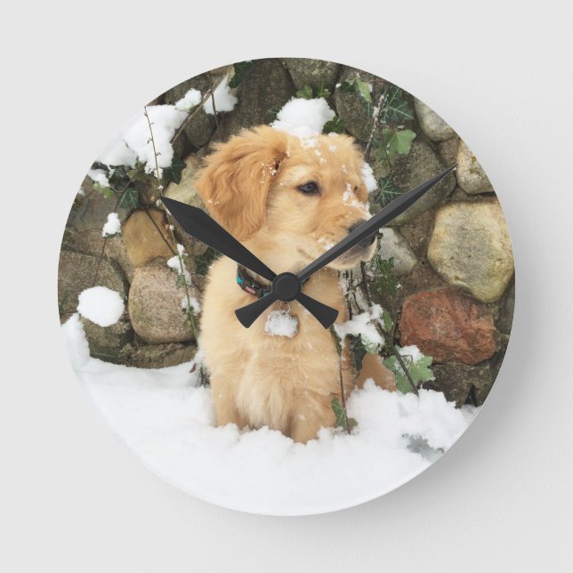 Snow Puppy Runde Wanduhr (Vorderseite)