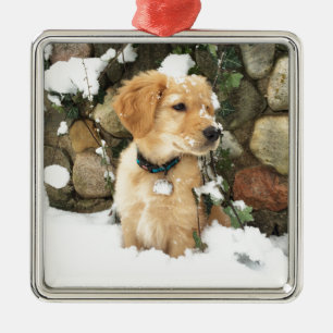 Snow Puppy Silbernes Ornament