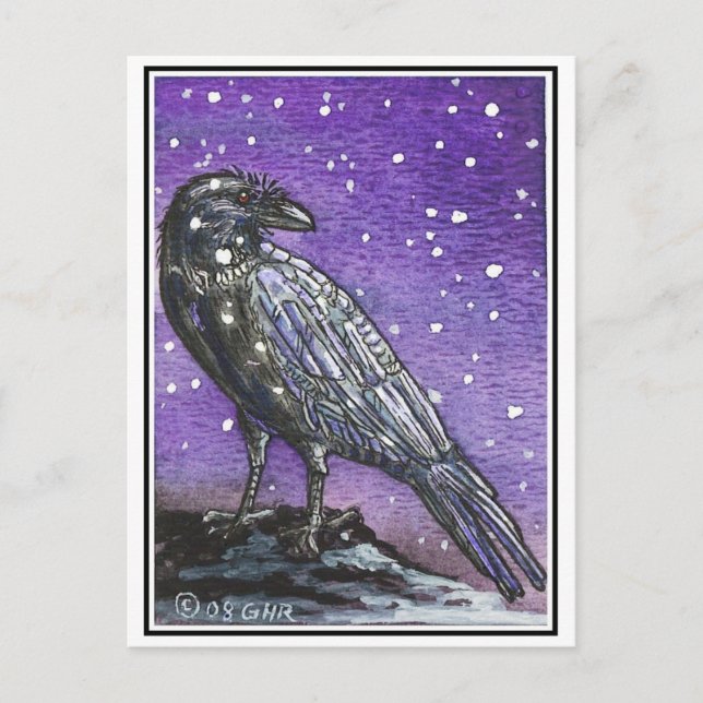 Snow Raven Postcard Postkarte (Vorderseite)