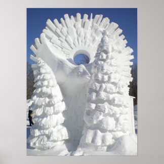 Snow Raven Poster