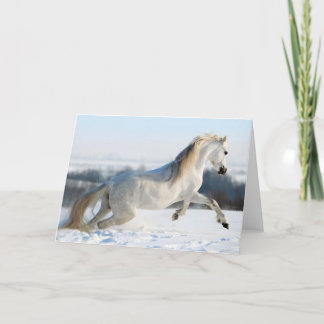 Snow Runner Feiertagskarte