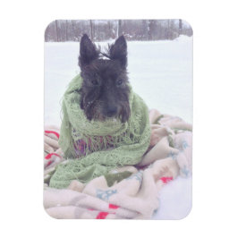 Snow Scottie Magnet
