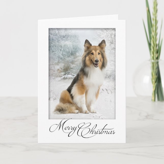 Snow Sheltie Weihnachtskarte Feiertagskarte (Vorderseite)