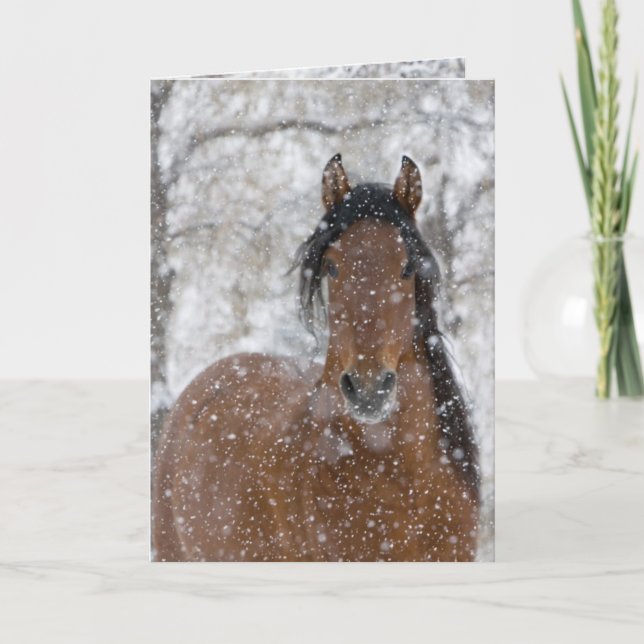 Snow Stallion Greeting Card Einladung (Vorderseite)