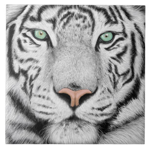 Snow Tiger Face Fliese