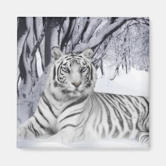 Snow Tiger Magnet (Vorne)