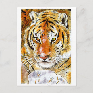 Snow Tiger Postkarte