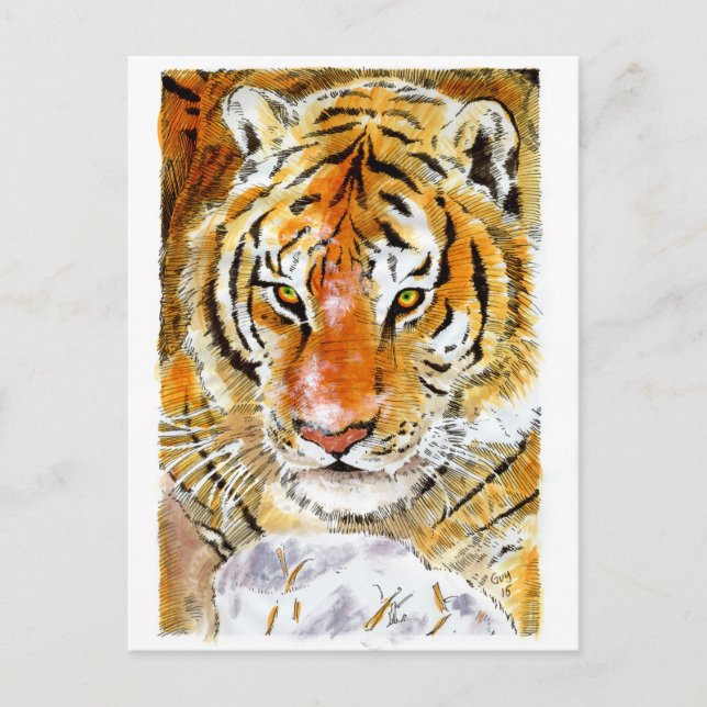 Snow Tiger Postkarte (Vorderseite)