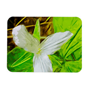 Snow Trillium eine weiße Wildblume Abstrakt Magnet