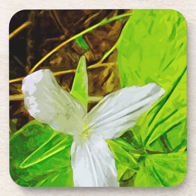 Snow Trillium eine weiße Wildblume Abstrakt Untersetzer (Vorderseite)
