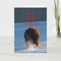 Snow! Vergiss das! Ich Bleibe drinnen, Schafe.