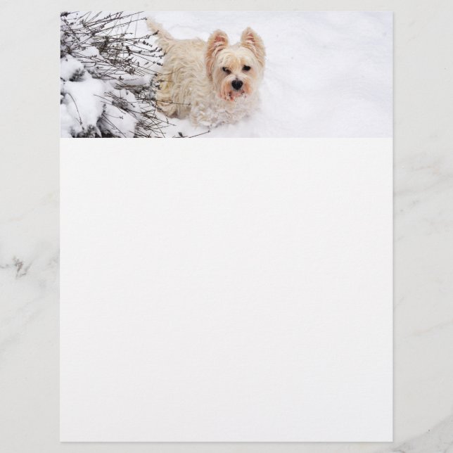 Snow Westie Dog Foto Stationery Paper Briefbogen (Vorderseite)