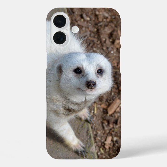 Snow White Meerkat, Case-Mate iPhone Hülle (Rückseite)
