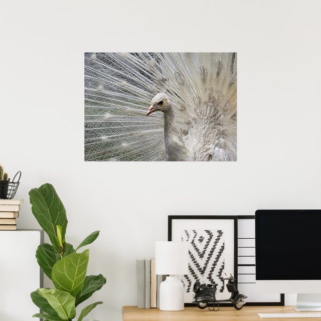 Snow White Poster (Heimbüro)