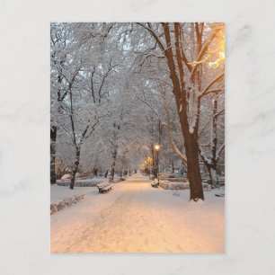 Snow Winter Greycard Feiertagspostkarte