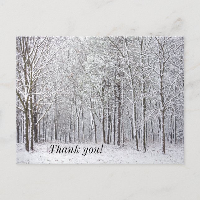 Snow Woods Vielen Dank Postcard Postkarte (Vorderseite)