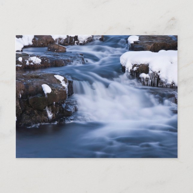 Snow World #3 Postkarte (Vorderseite)