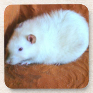Snowball White Rat Cork Untersetzer