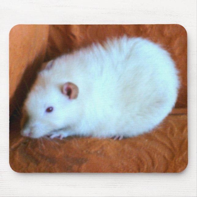 Snowball White Rat Mousepad (Vorne)