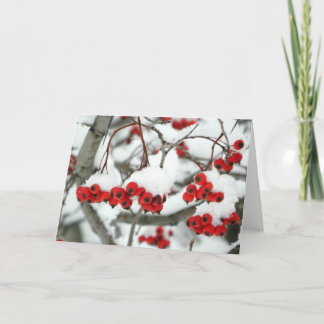 Snowberries Grußkarte Karte