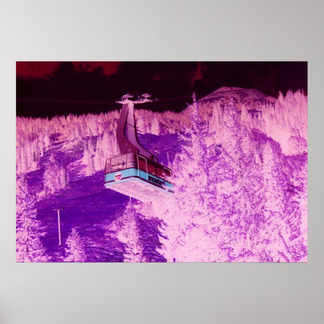 Snowbird Dream Poster (Vorne)