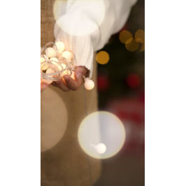 Snowbird Flamingo, Brauch T-Shirt