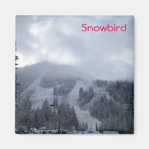 Snowbird Magnet