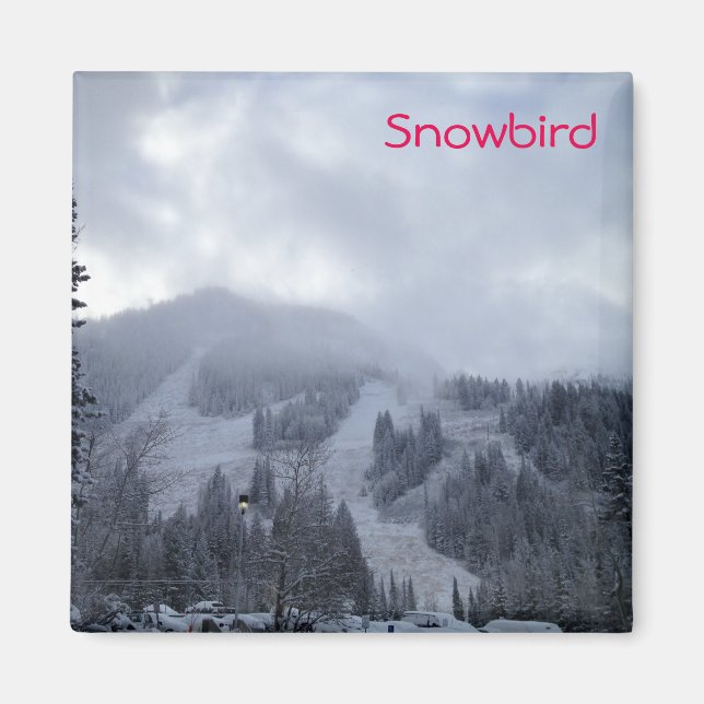 Snowbird Magnet (Vorne)