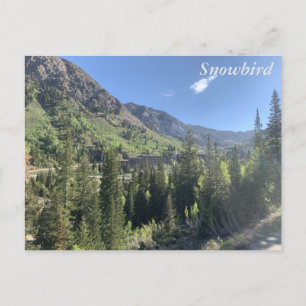Snowbird - Sommer Postkarte