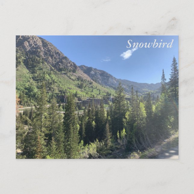 Snowbird - Sommer Postkarte (Vorderseite)
