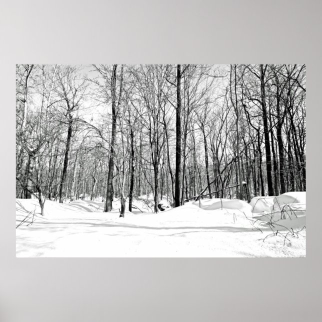 Snowblind Poster (Vorne)