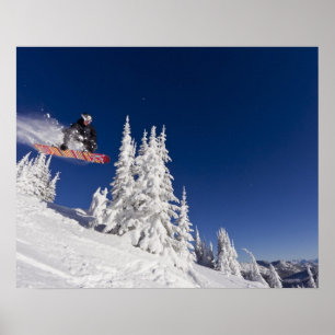 Snowboarden im Whitefish Mounort Poster