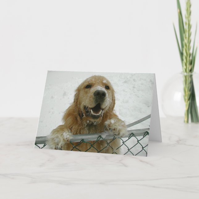 Snowdog Karte (Vorderseite)