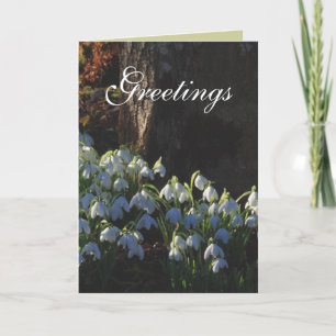 Snowdrop Card Karte