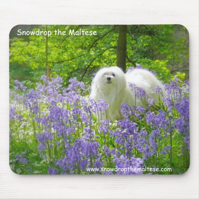 Snowdrop das maltesische mousepad (Vorne)
