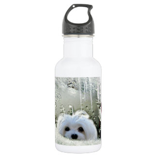 Snowdrop das maltesische trinkflasche