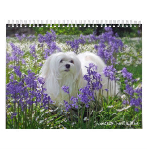 Snowdrop der maltesische Kalender