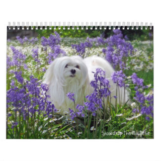 Snowdrop der maltesische Kalender