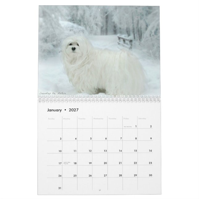 Snowdrop der maltesische Kalender (Jan 2027)
