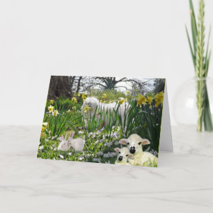 Snowdrop die maltesische Ostern-Karte Feiertagskarte